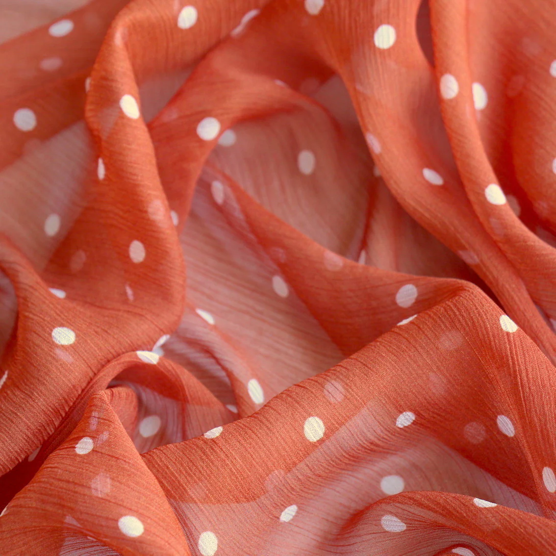 Spotty Toffee - Image 2