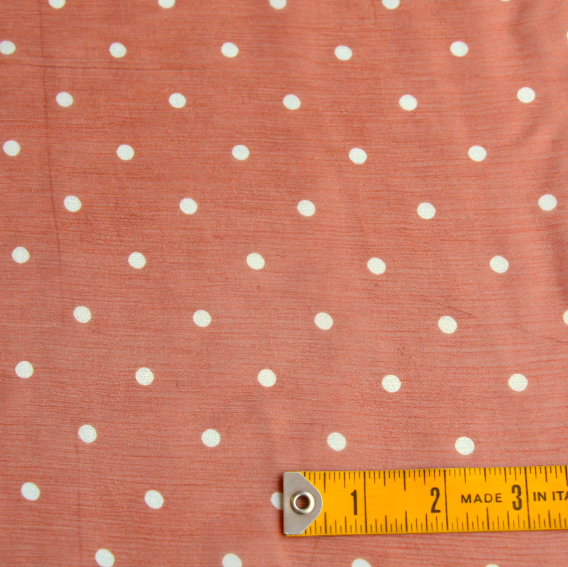 Spotty Toffee - Image 3