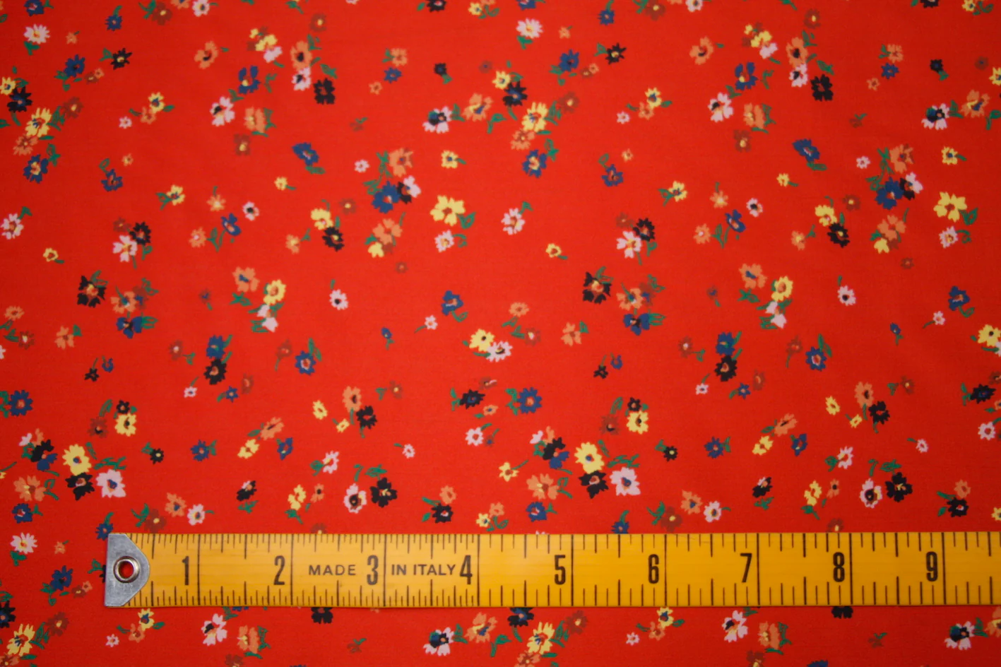 Staccato - Image 2