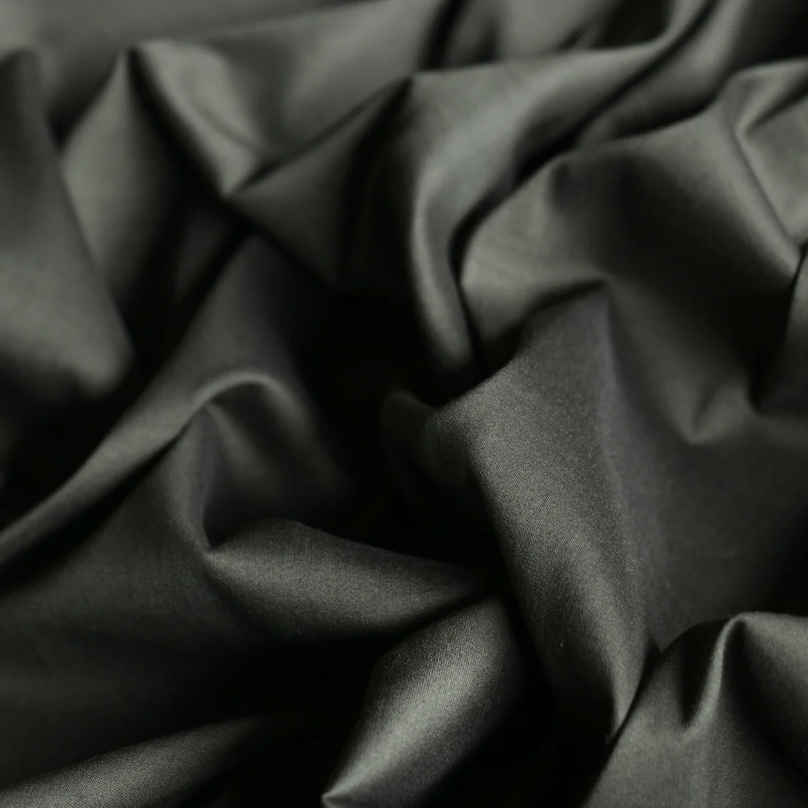Stella Olive Cotton/Silk - Image 2
