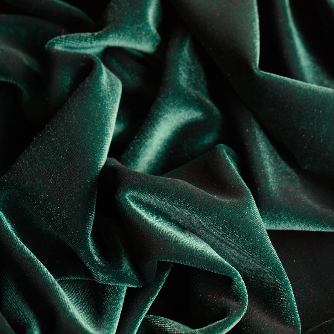Stevie Velvet Ivy - Stretch Velour - Image 2