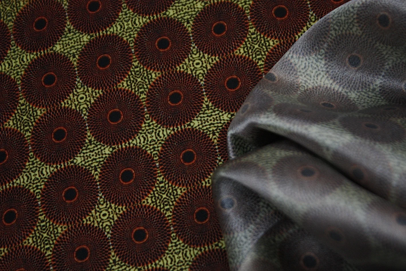 Sunflower Campi - Image 6