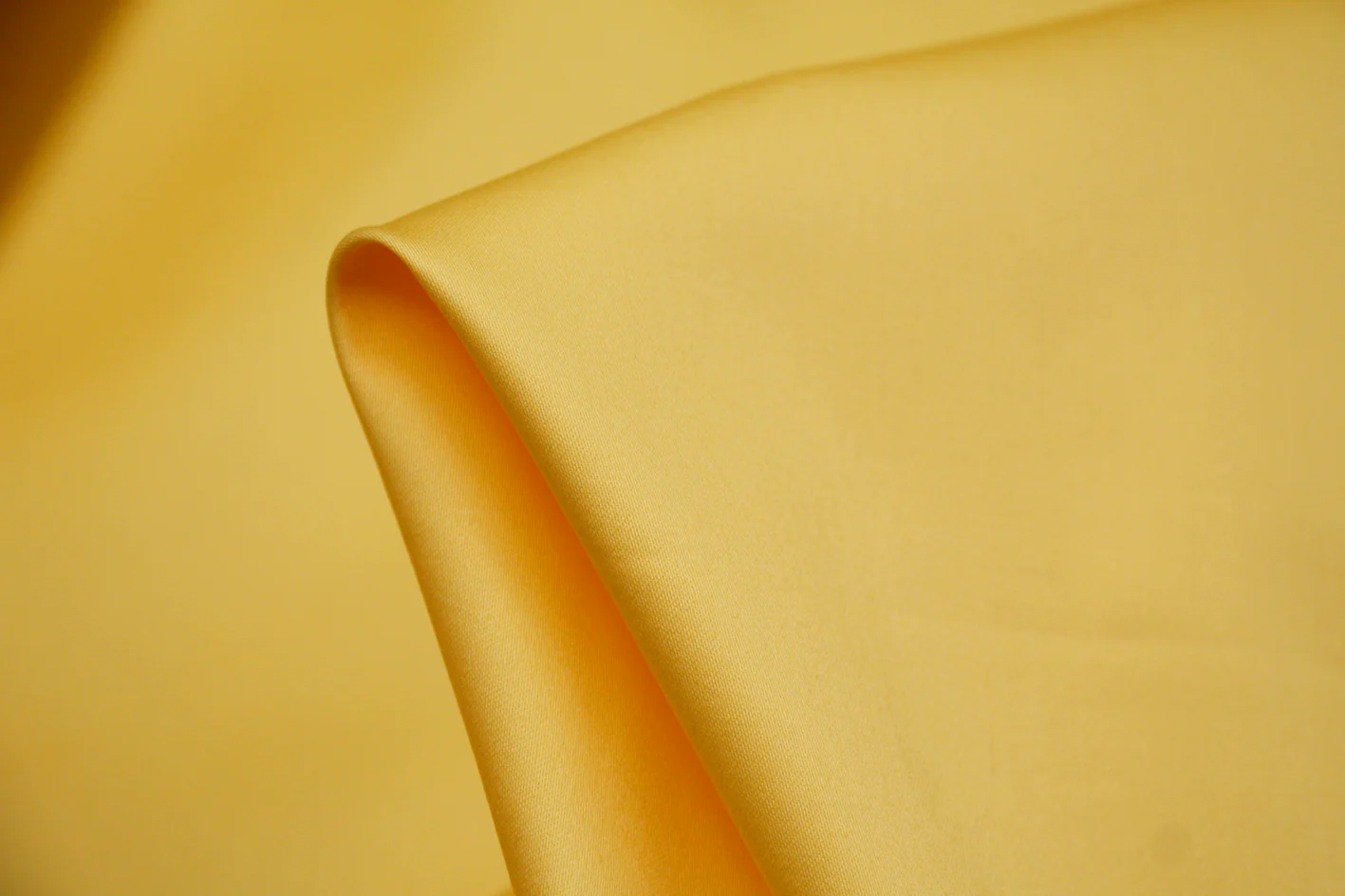 Sunflower Yellow