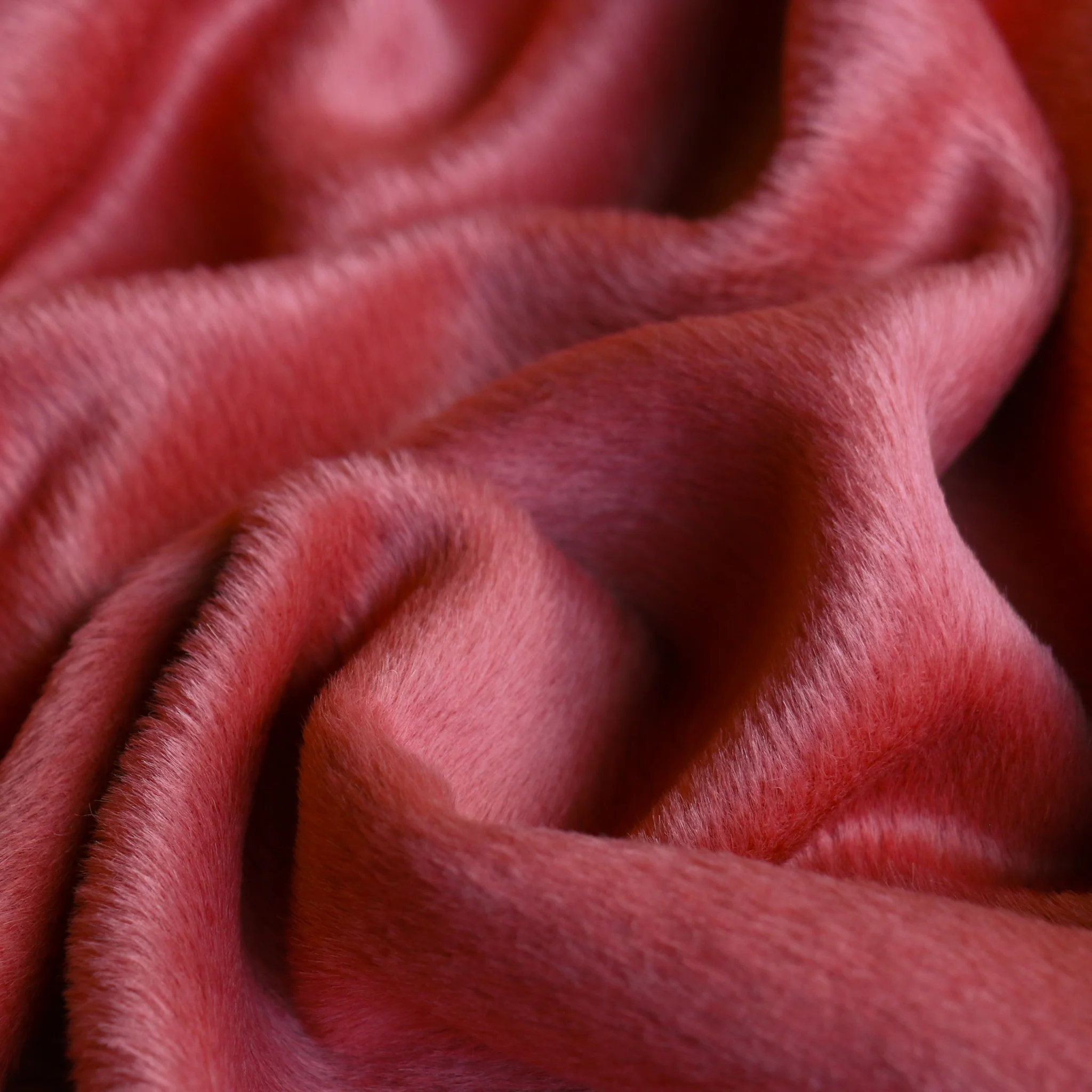 Suri Alpaca Coral Coating - Image 2