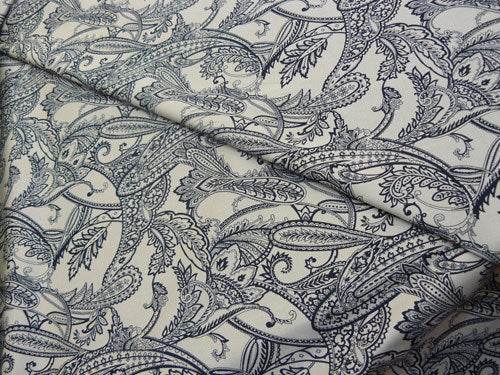 Swimming Paisley
