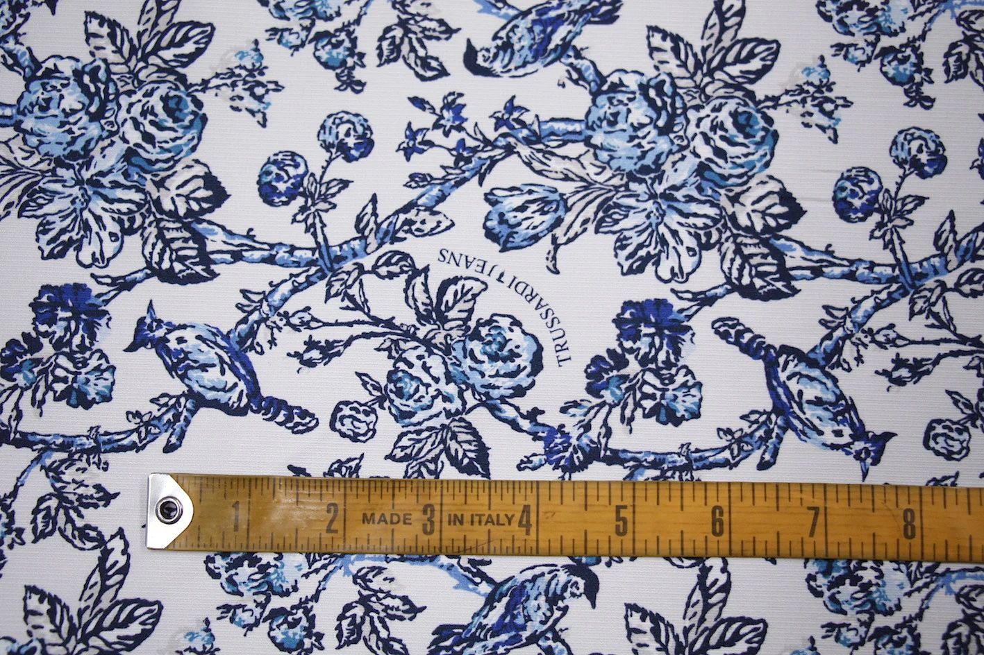 T.J Bluebird - Image 2