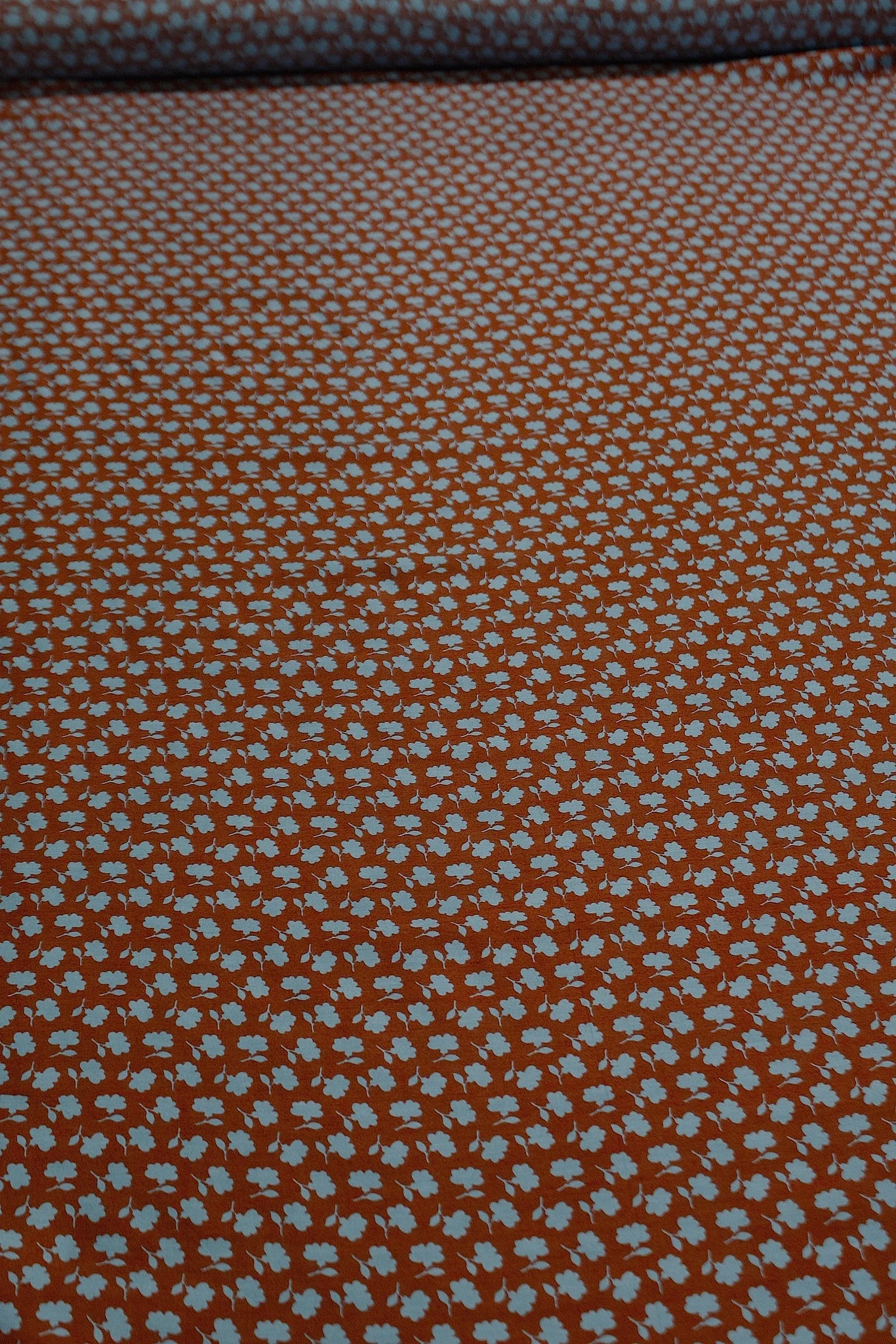 Terra Roses - Image 2