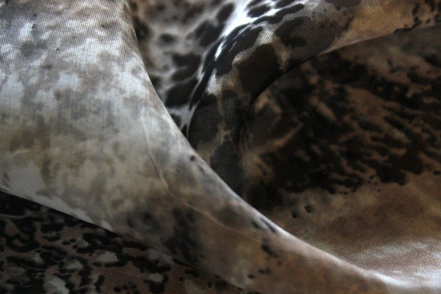 The Cat Cometh - Image 2