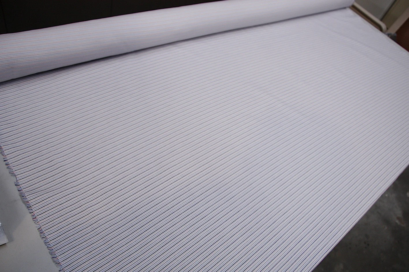 The Dotted Line - Image 4