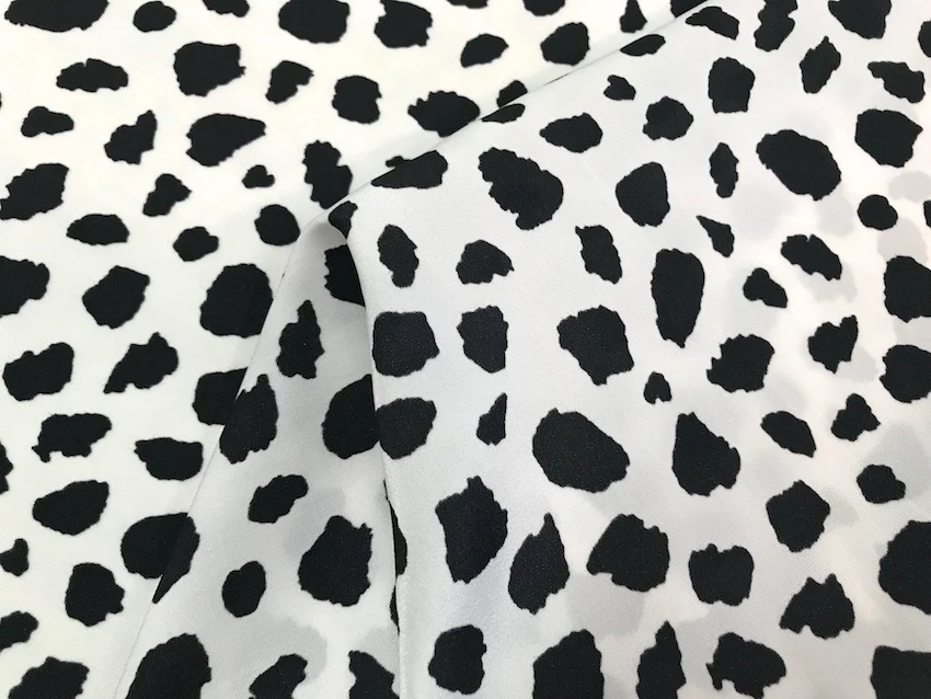 The Printed Cat