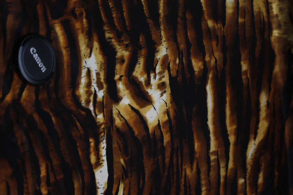 Tiger Heat - Image 2