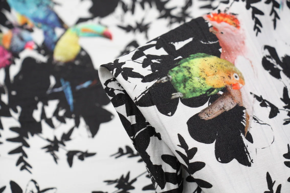 Toucan & Friends