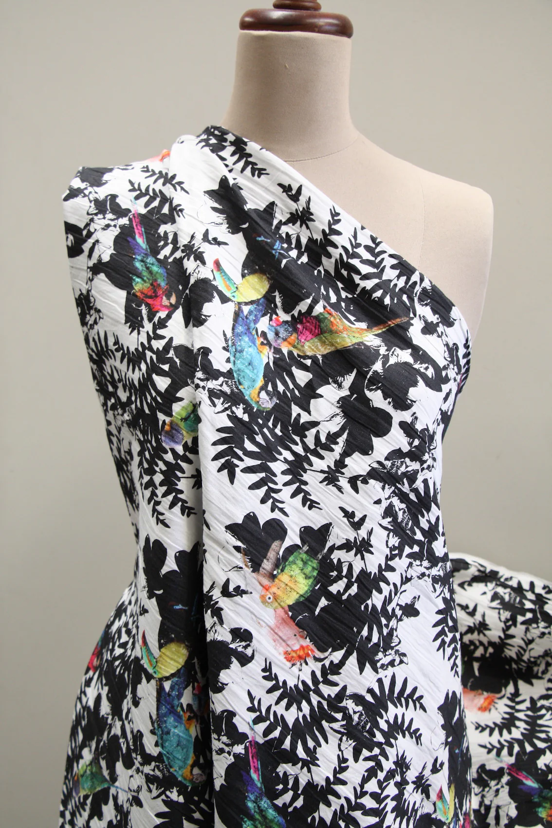Toucan & Friends - Image 5