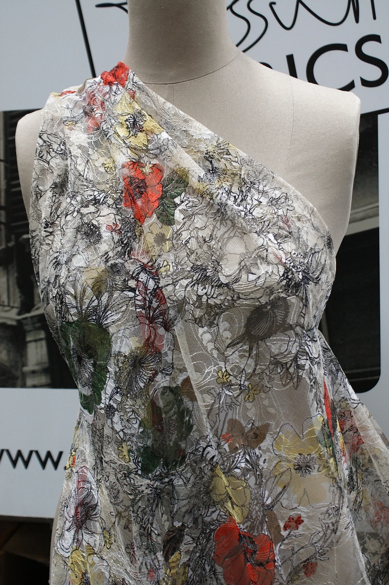 Transparent Nature - Image 6