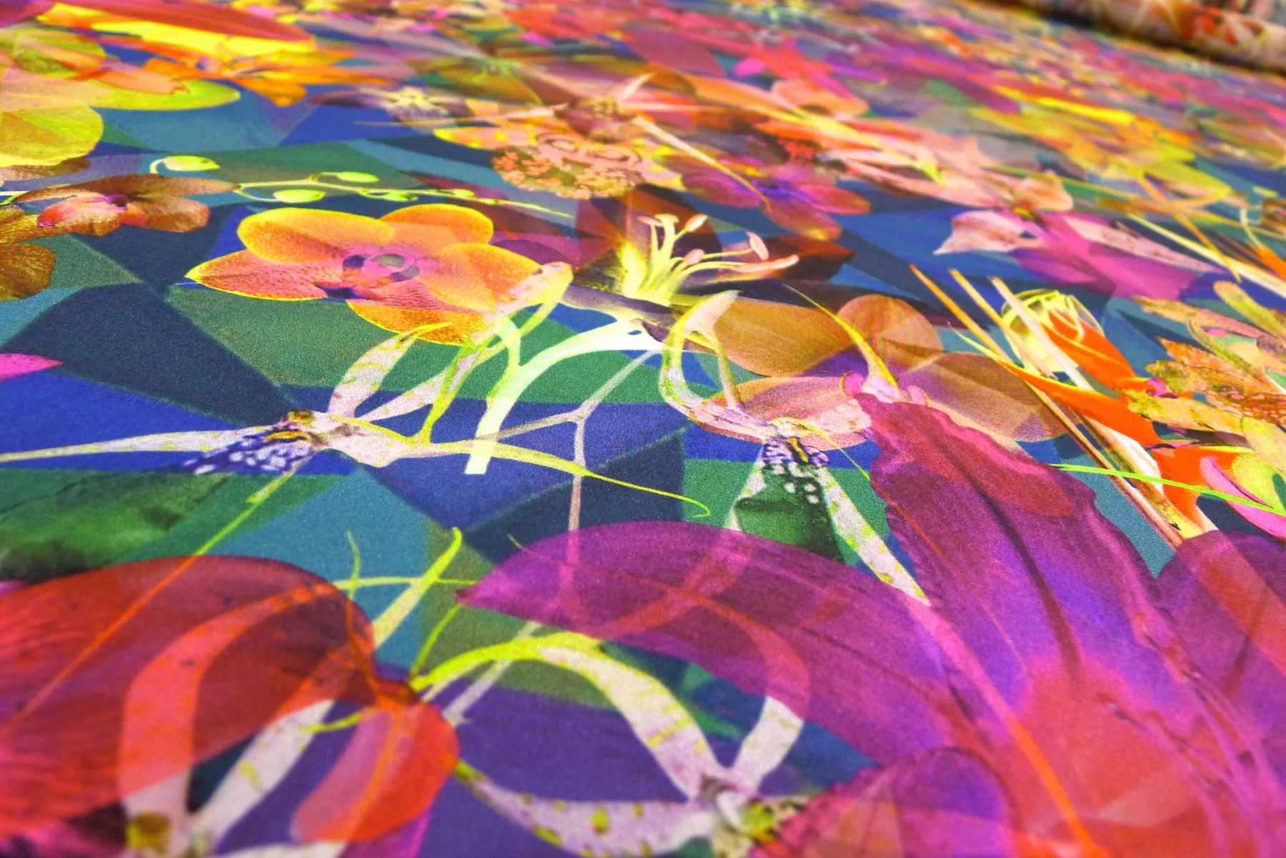 Tropical Haven - Image 2