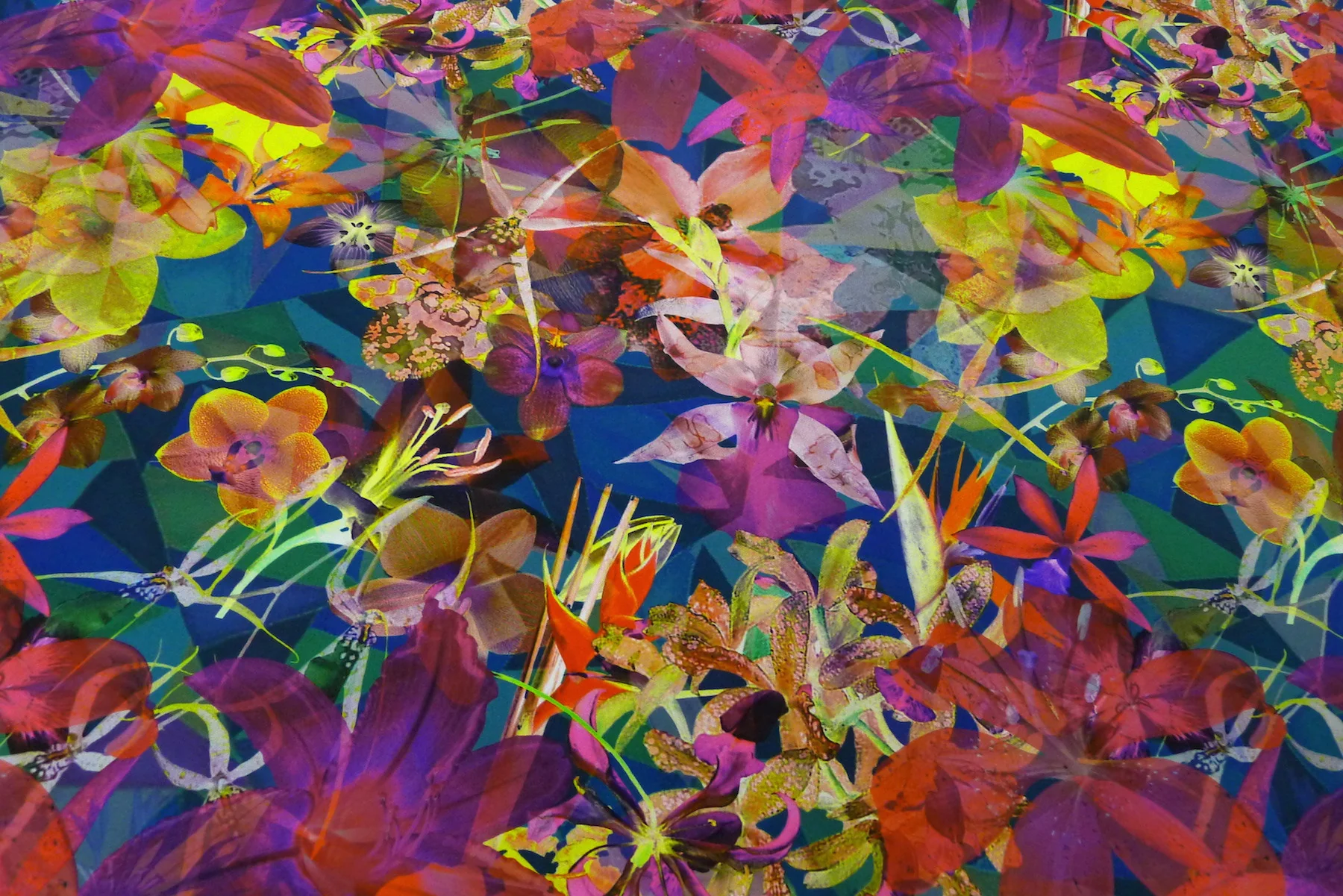 Tropical Haven - Image 3