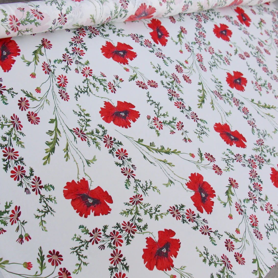Tuscan Poppy - Image 4