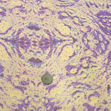 Wet Purple - Image 5