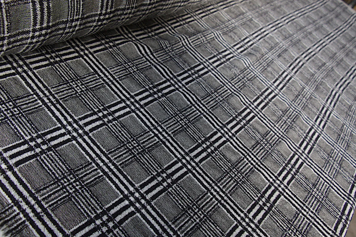 Where's The Zebra? - Image 3