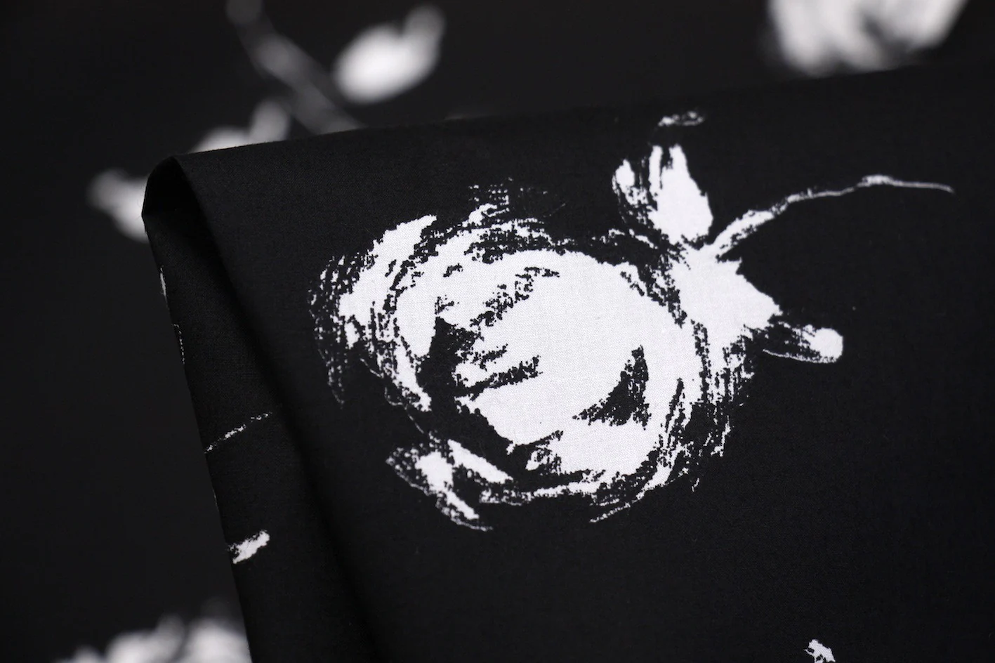 White Rose With Black Curtains