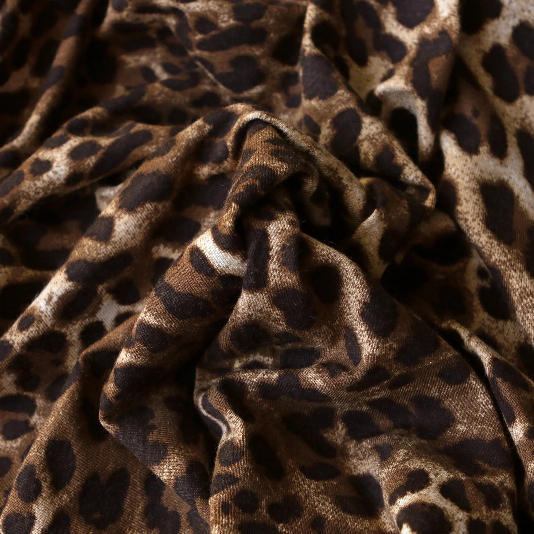 Wild Cat Jersey - Image 2