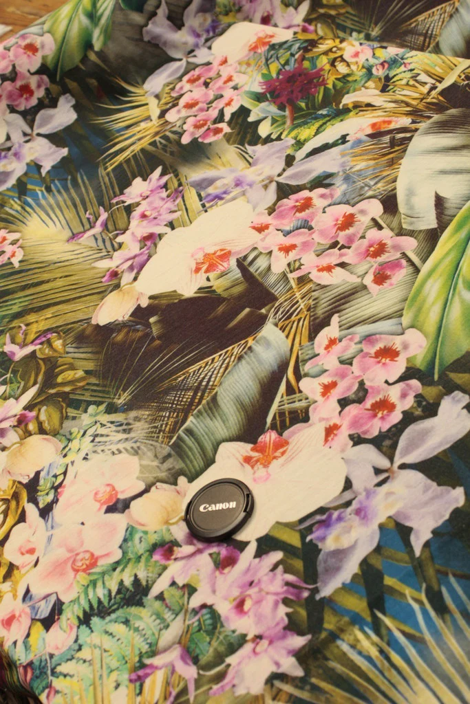 Wild Jungle - Image 4