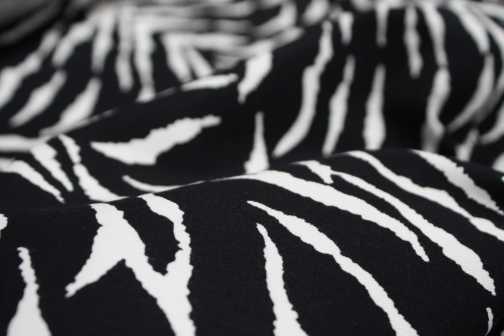 Zebra Land