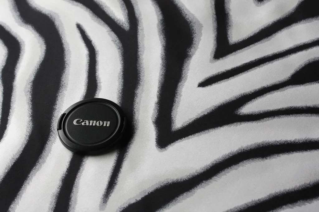 Zebra Talk - Image 2