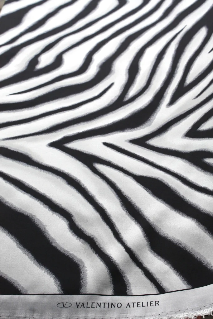 Zebra Talk - Image 3