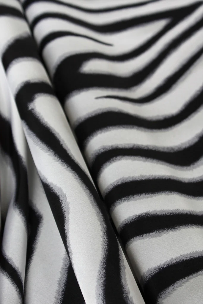 Zebra Talk - Image 4