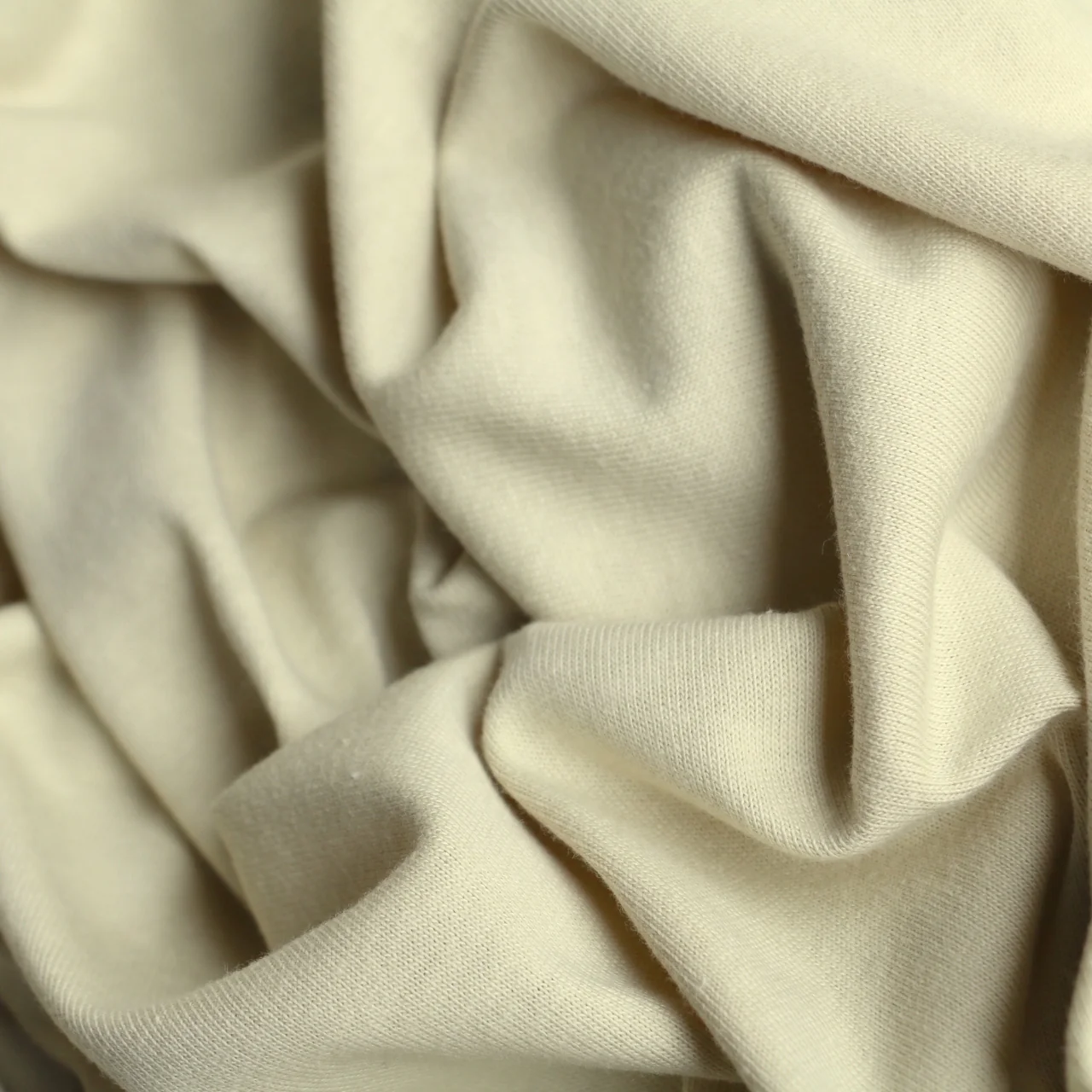 Zest Jersey Organic Cotton - Image 2