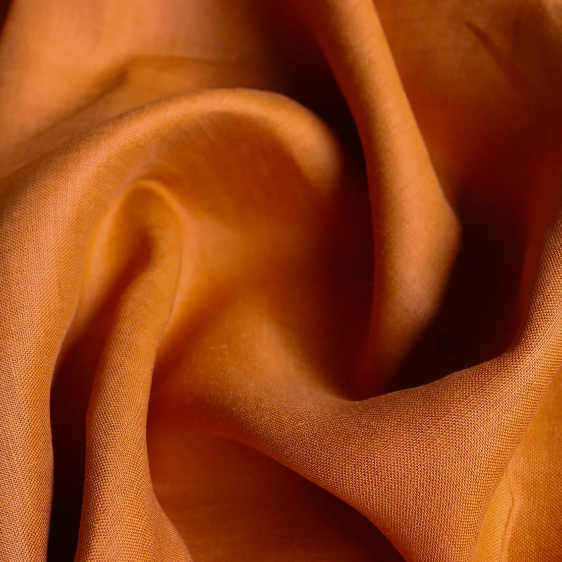 Zucca Lino - Image 2